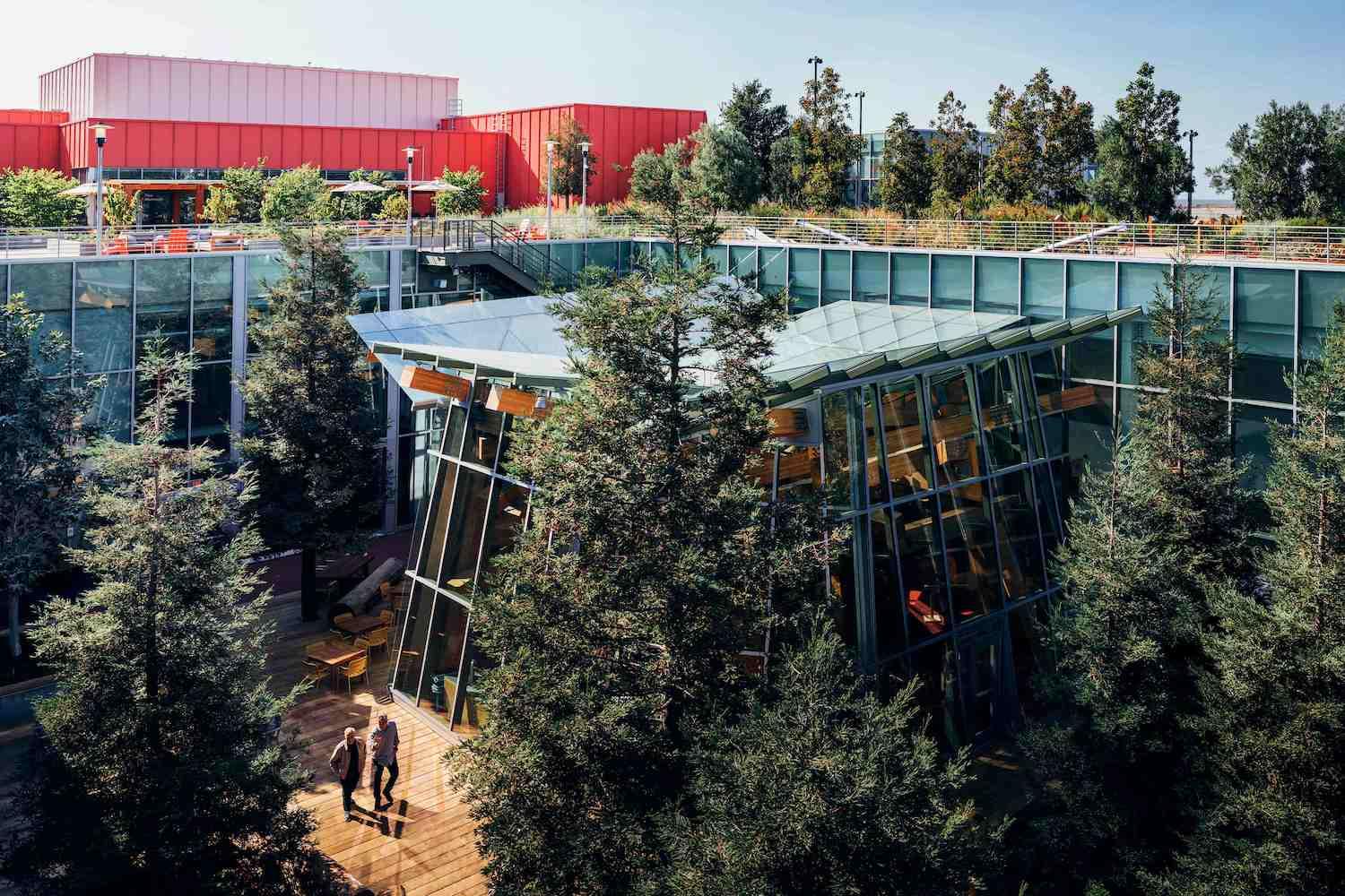 meta menlo park headquarters Town Square with trees and green roof - offices - biodiversity